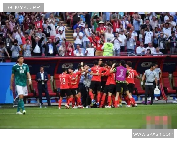 BIG战胜HAVU成功夺冠展现强大实力与团队默契