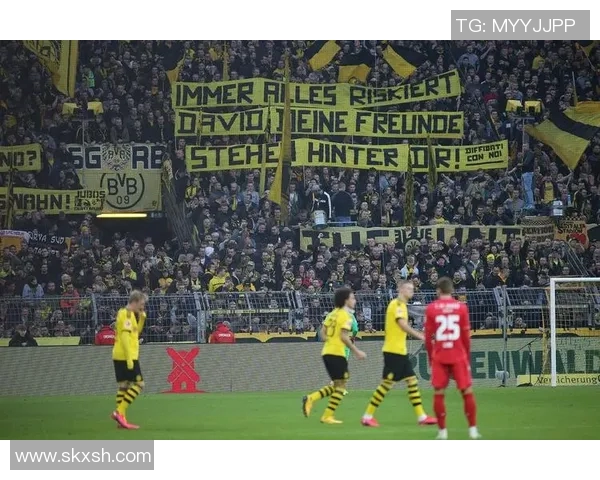 多特蒙德力争主场连胜，全力追赶德甲前四位置