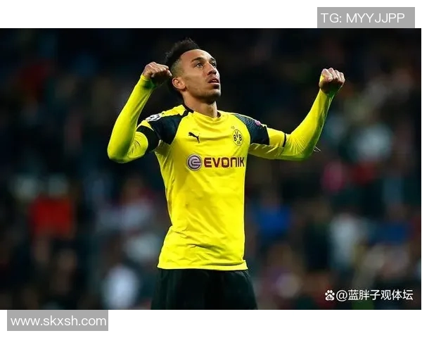 瑞士球队新援前锋斯科施尔纳加盟，强化攻击火力